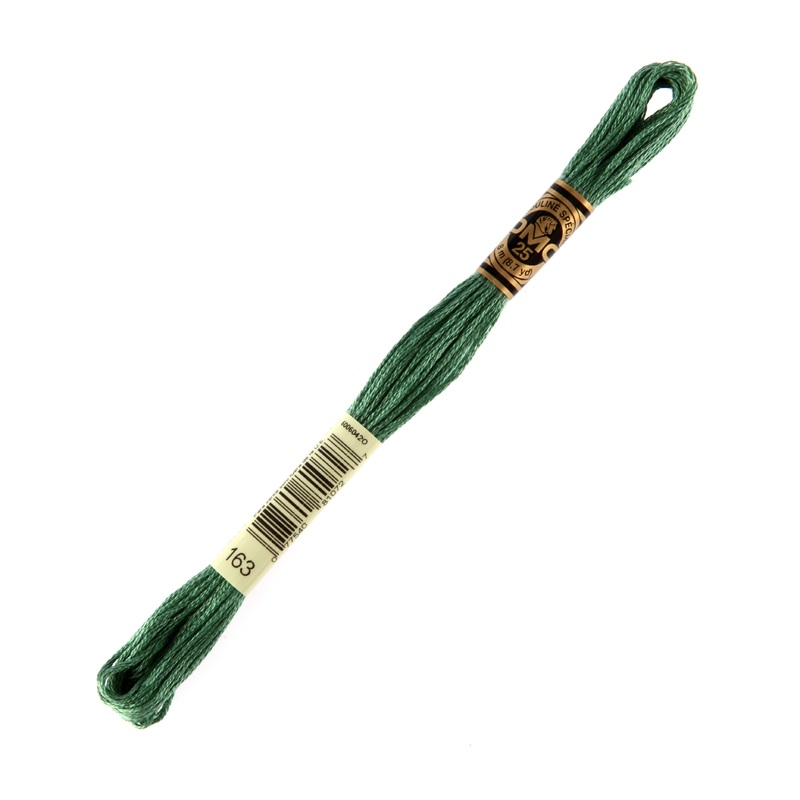 DMC Mouline Special 8 m Embroidery Thread, Green – 163