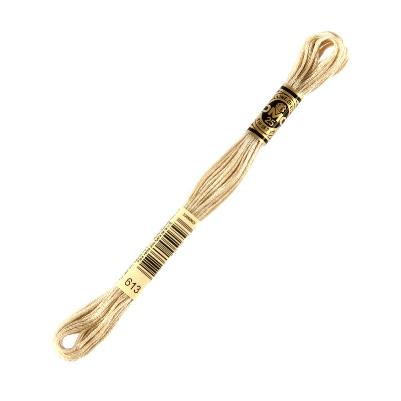 DMC Mouline Special 8 m Embroidery Thread, Beige – 613