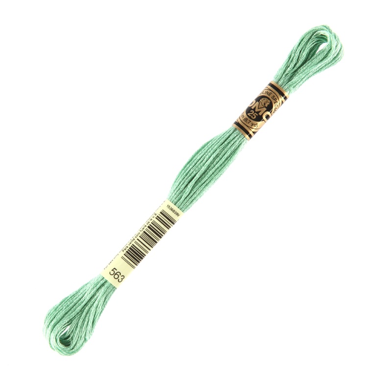 DMC Mouline Special 8 m Embroidery Thread, Green – 563