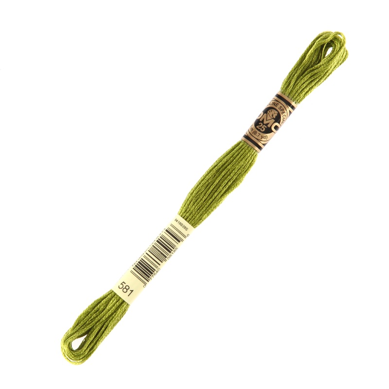 DMC Mouline Special 8 m Embroidery Thread, Green – 581