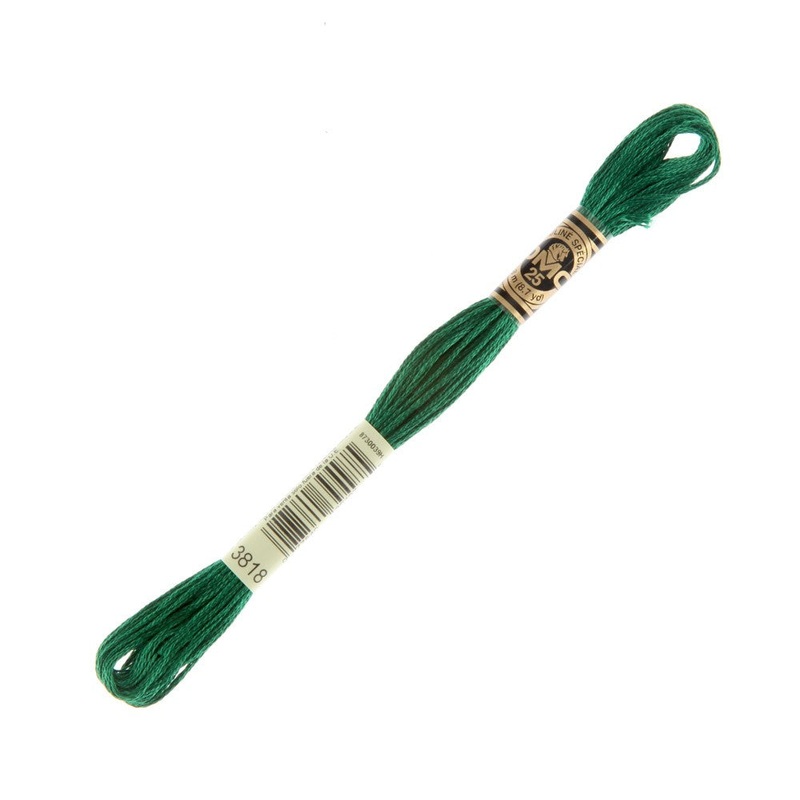 DMC Mouline Special 8 m Embroidery Thread – 3818