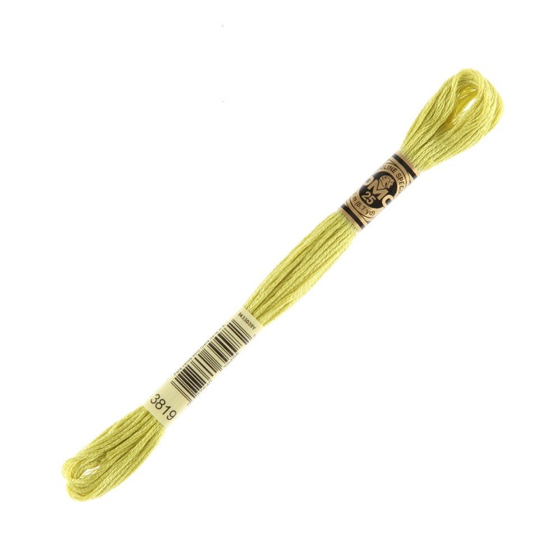 DMC Mouline Special 8 m Embroidery Thread – 3819
