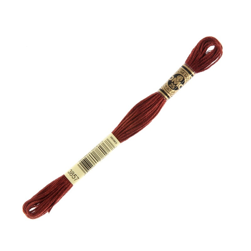 DMC Mouline Special 8 m Embroidery Thread – 3857