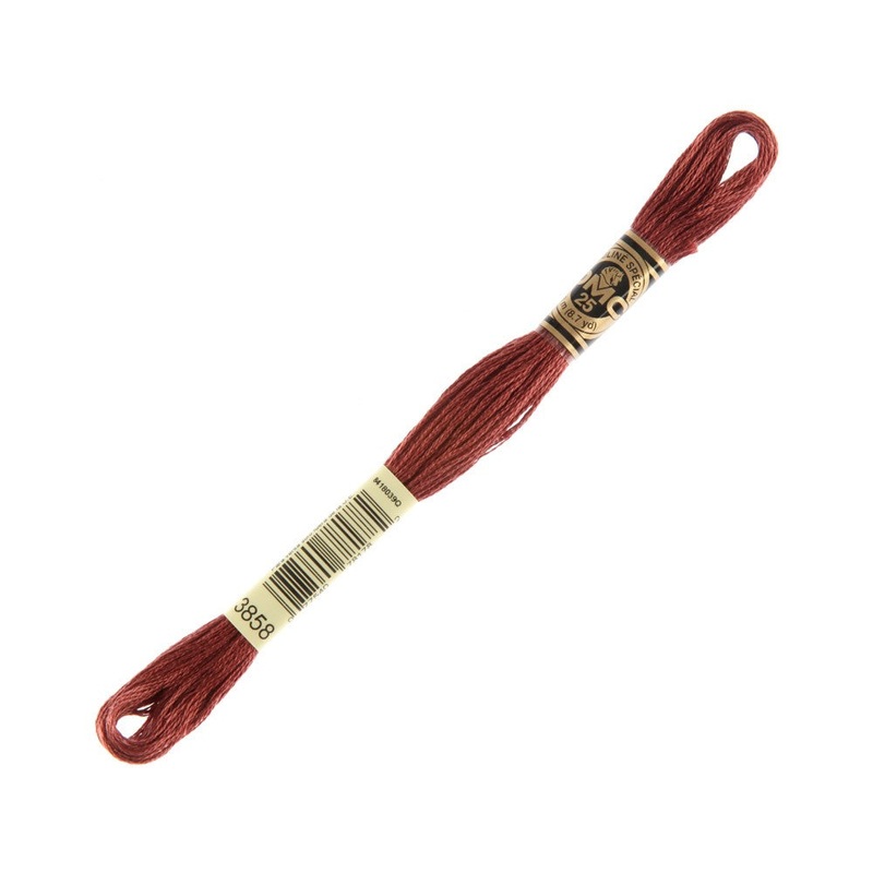 DMC Mouline Special 8 m Embroidery Thread – 3858