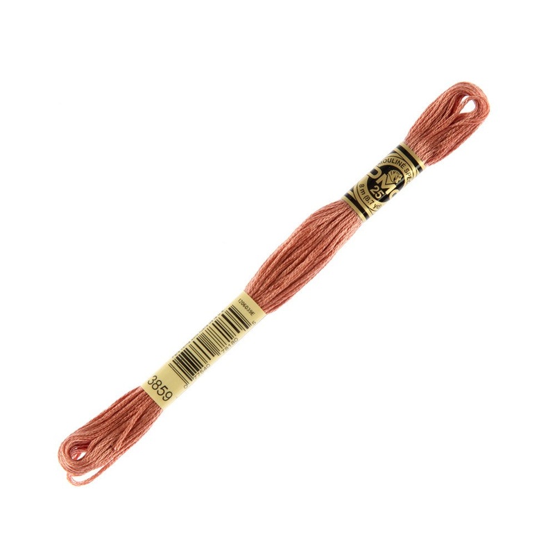 DMC Mouline Special 8 m Embroidery Thread – 3859