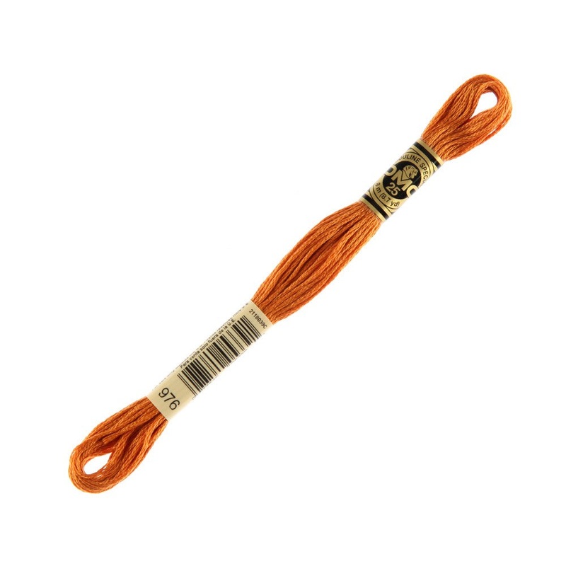 DMC Mouline Special 8 m Embroidery Thread – 976