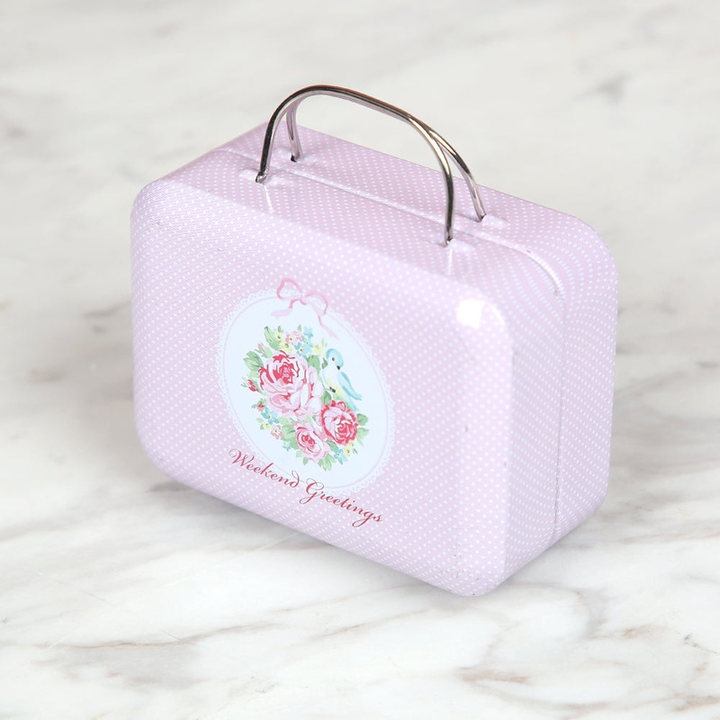 Nas Metal Storage Box Bag – Pink