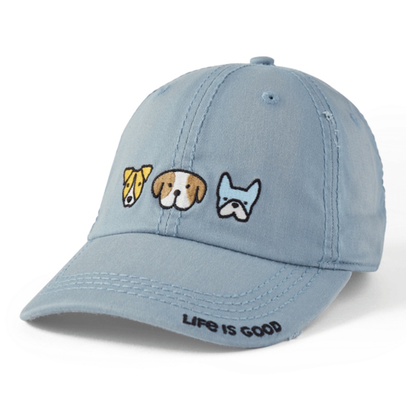 Heart Of Dogs Sunwashed Chill Cap