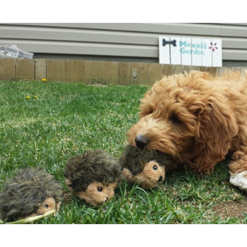 Miniz 3-Pack Hedgehogs Dog Toys