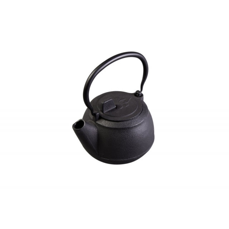 Cast Iron Tea Pot