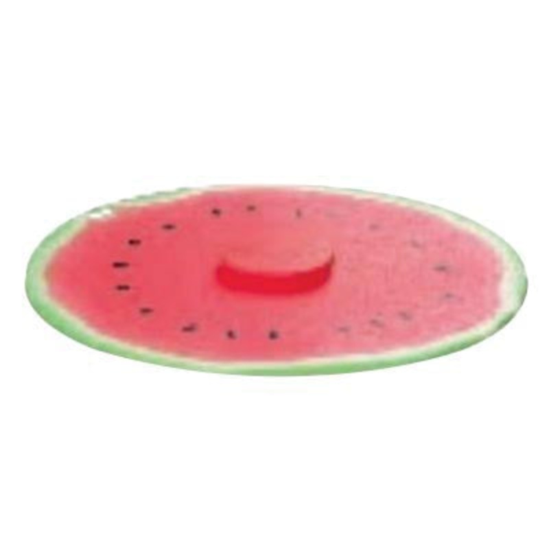 Air-Tight Lid|Watermelon|8IN