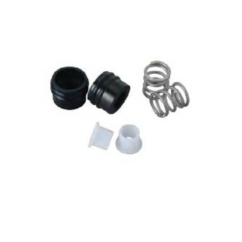 Seat and Spring Repair Kit