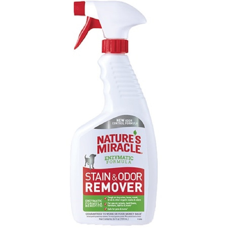 Stain and Odor Remover|24OZ