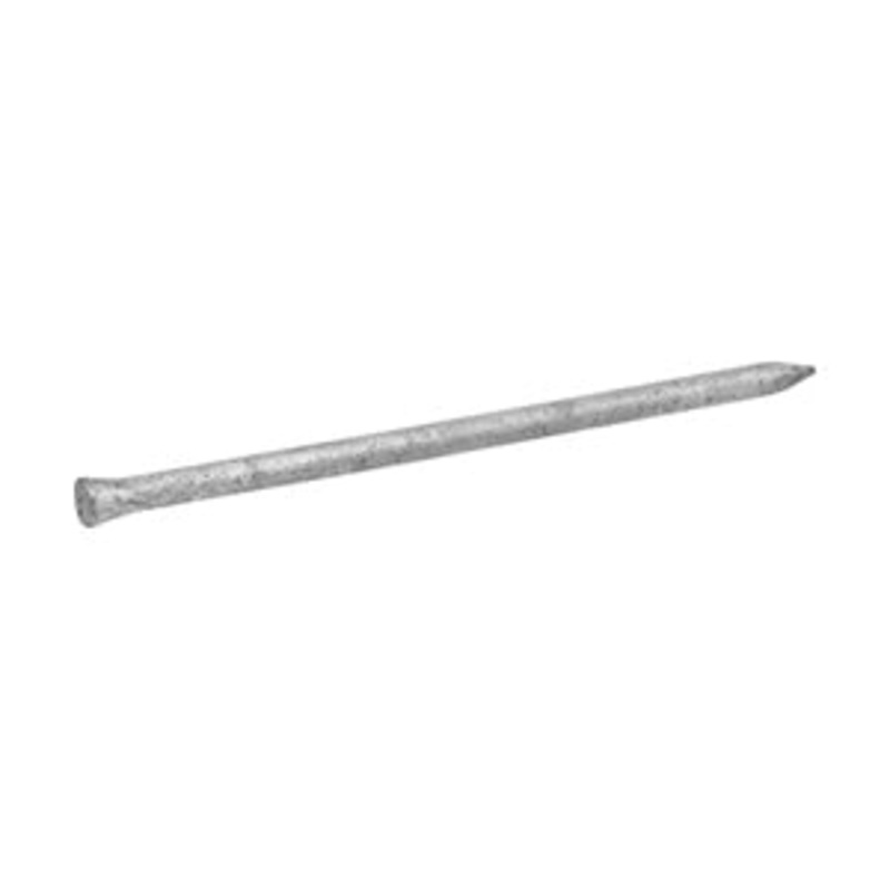 Casing Nail|2.5IN|1LB