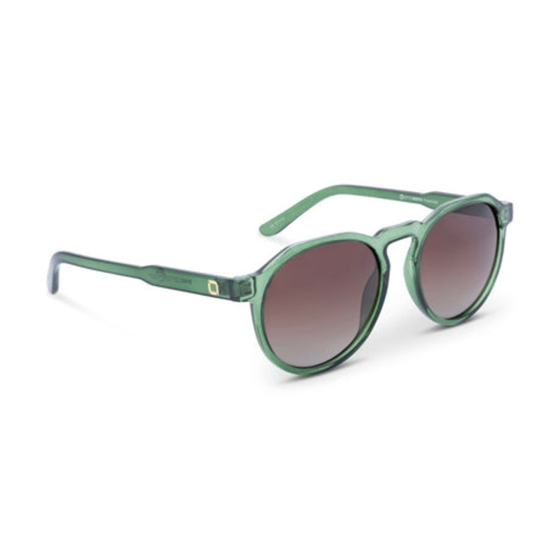 Rino Sunglasses Green/brwn/nn Reflective