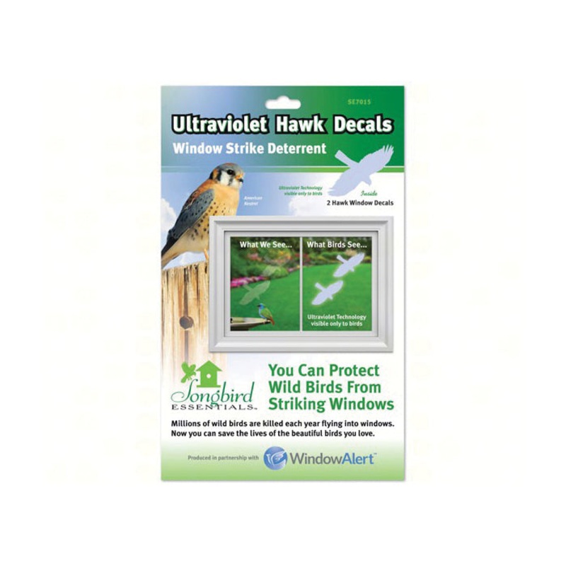 Window Hawk|S/2