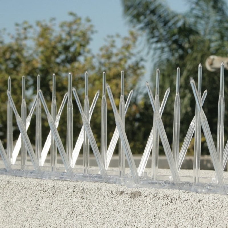 Bird Spike|Clear|5INX6FT