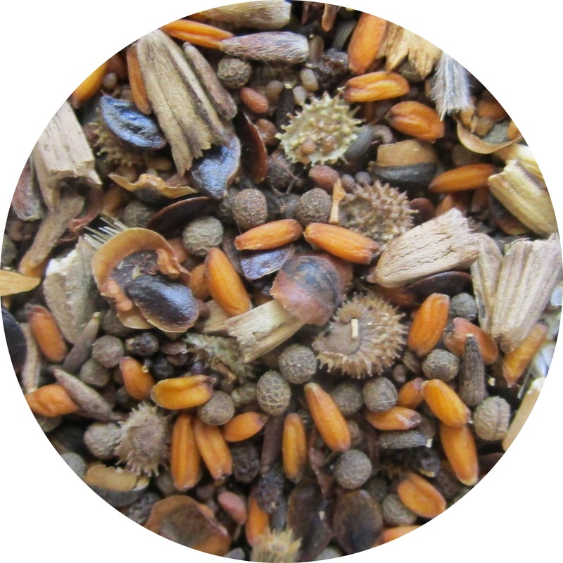 Flower Seed Mix|4OZ