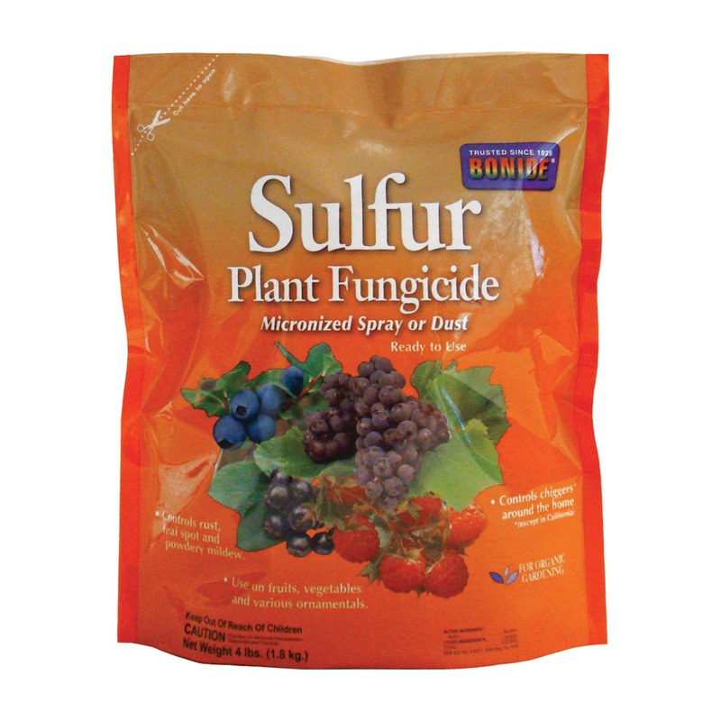 Plant Fungicide|4LB