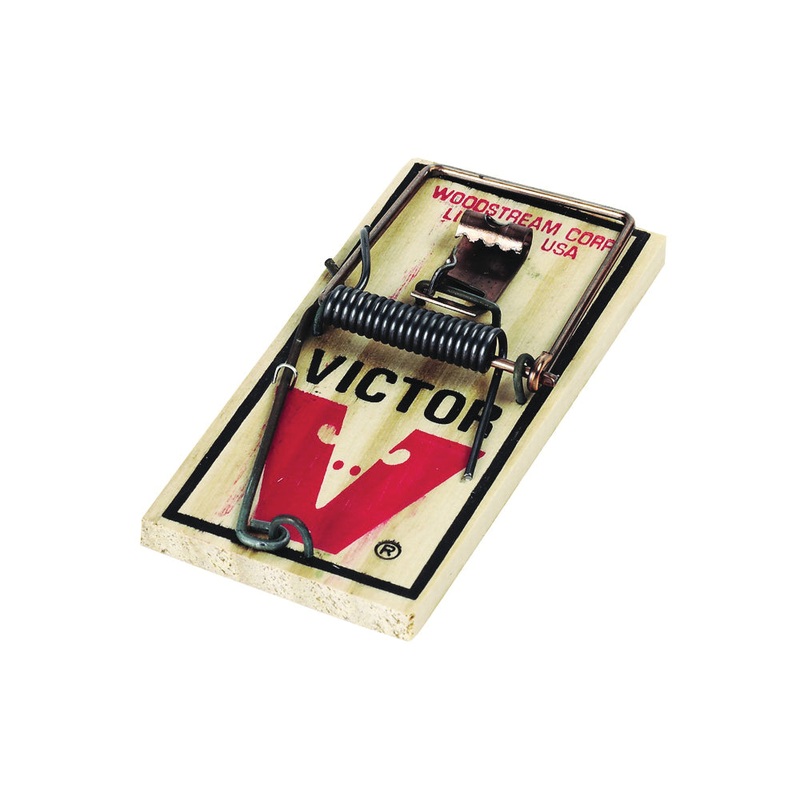 Mouse Trap