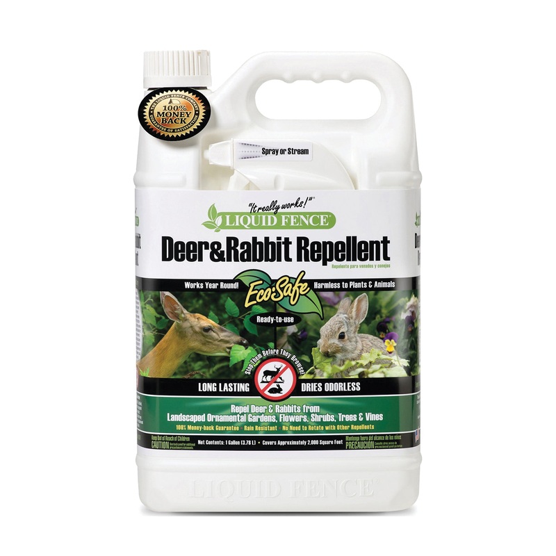 Deer and Rabbit Repellent|1GAL