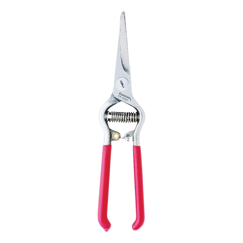 Thinning Shear