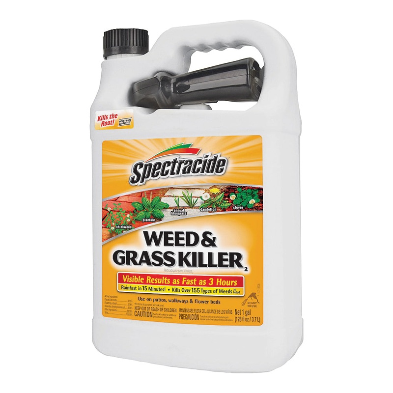 Weed and Grass Killer|1GAL