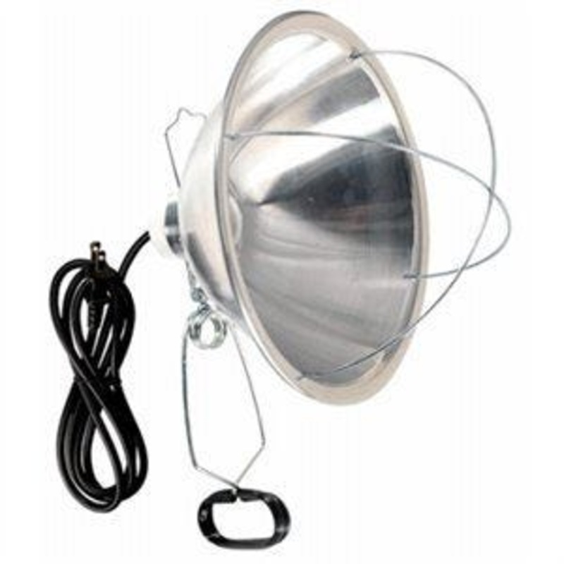 Brooder Light with Reflector Shade
