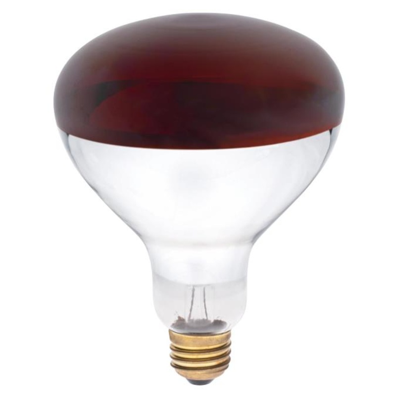 Incandescent Bulb|Red|250W
