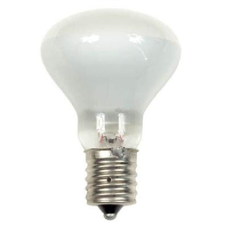 Light Bulb