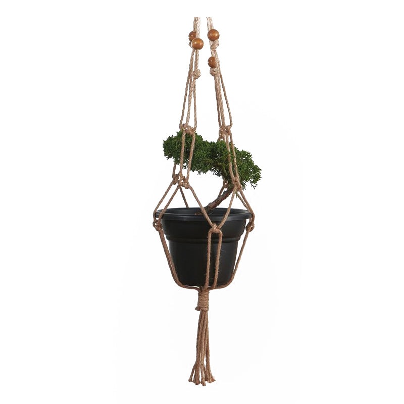 Plant Hanger