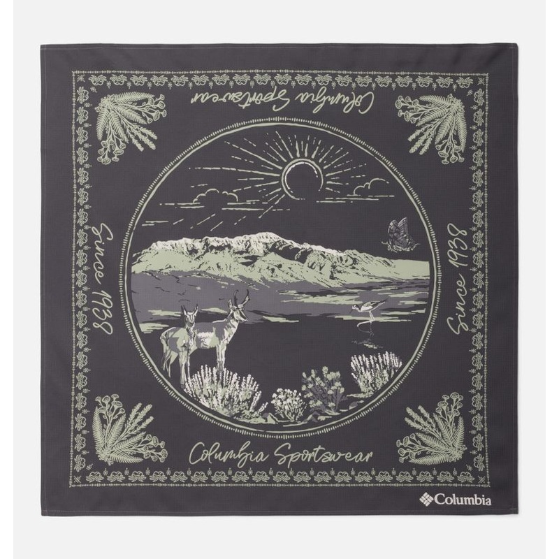 Skien Valley Bandana – Dark Stone