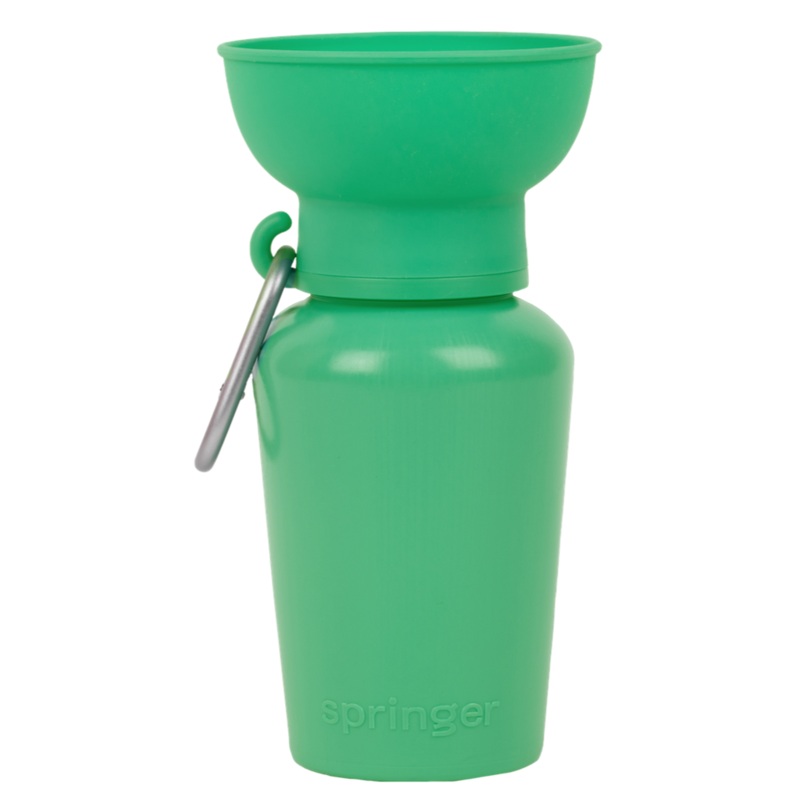Flip Dog Travel Bottle 20oz – Springer Green