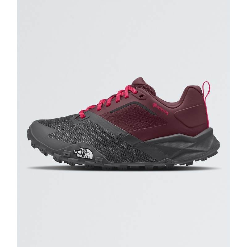 Women’s Offtrail TR GTX Shoe – Alpine Plum/Asphalt Grey