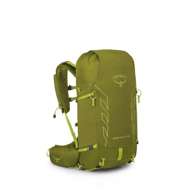 Talon Velocity 30 Pack L/xl – Matcha Green Lemongrass