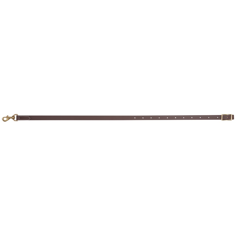 BioThane Tie-down Strap|Brown|1-inch