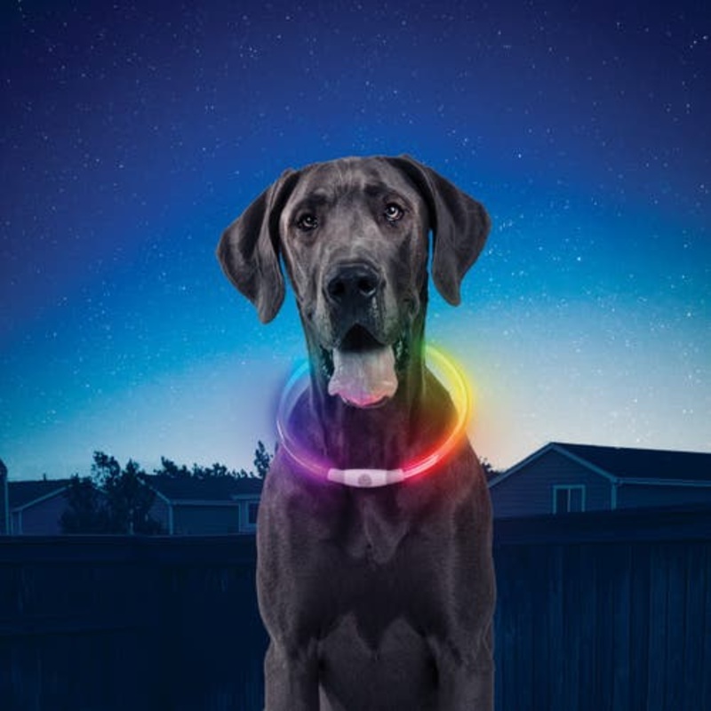 Nitehowl Recharge Led Safety Necklace – Disco Select