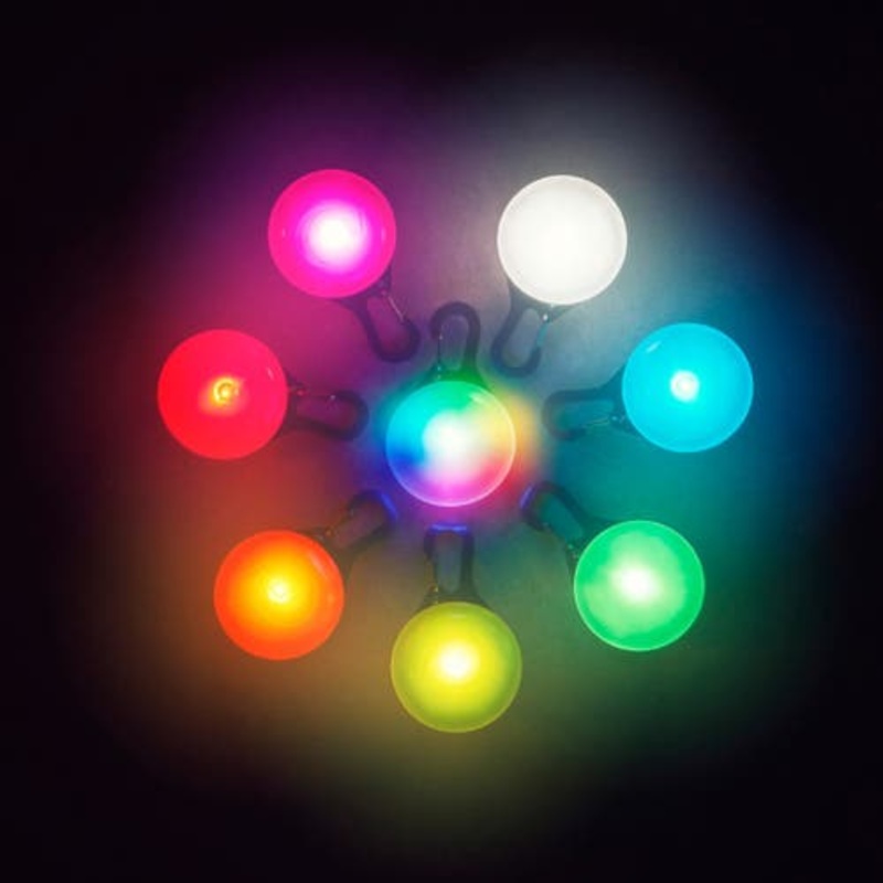 Spotlit Collar Light – Disco|Disco