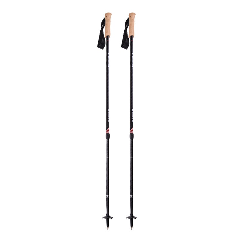 Andesite Trekking Pole – Carbon