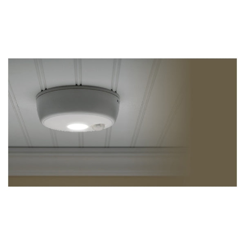 Ceiling Light|100LUM