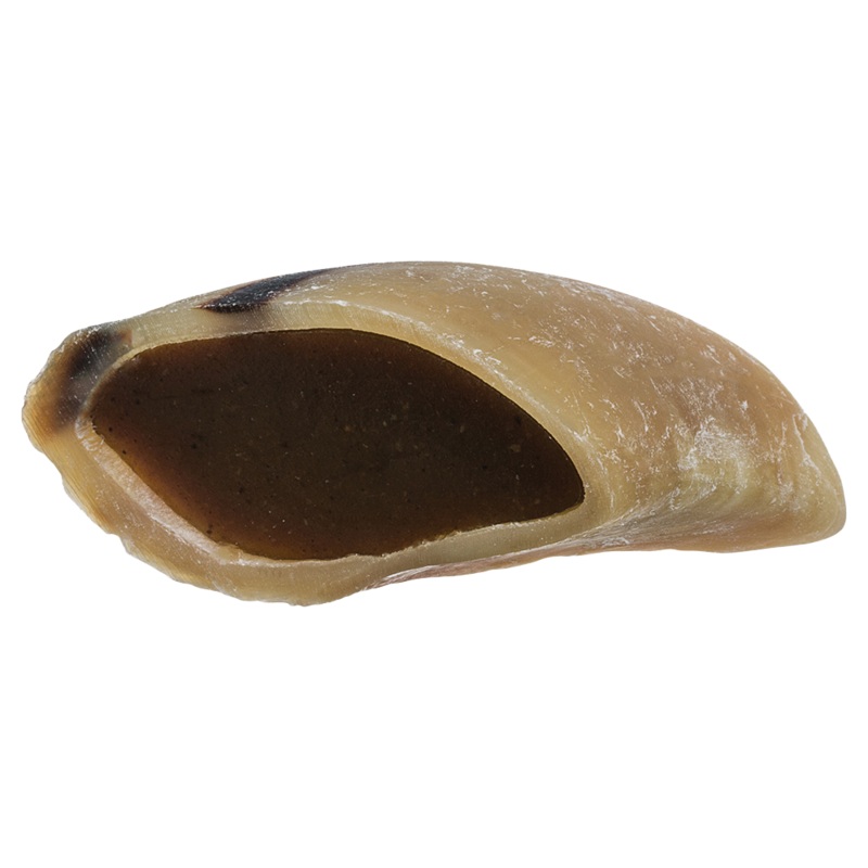 Filled Hoof Beef Flavor Dog Chew – Single