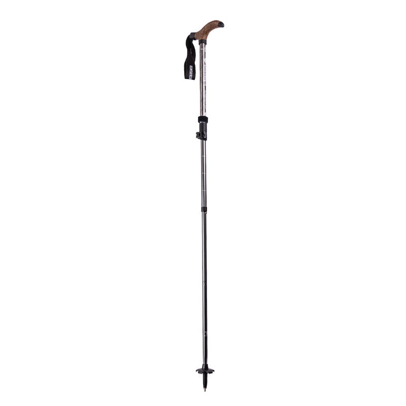 Globetrotter Trekking Pole – Graphite