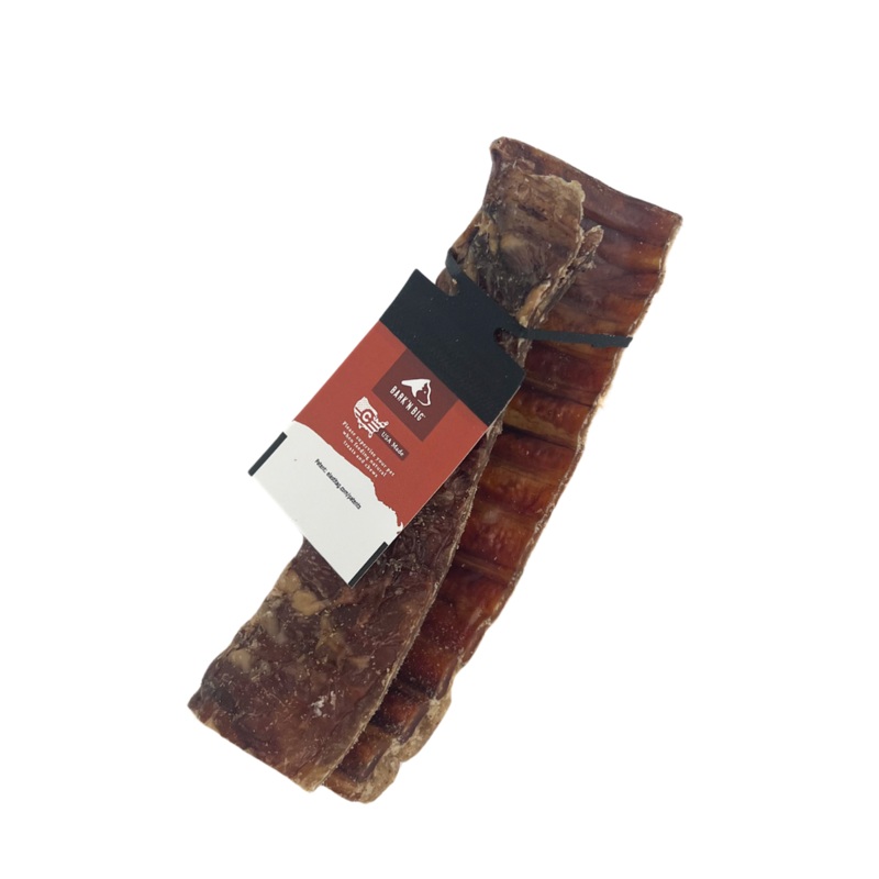 Bison Trachea Canoe Medium 6in – Single
