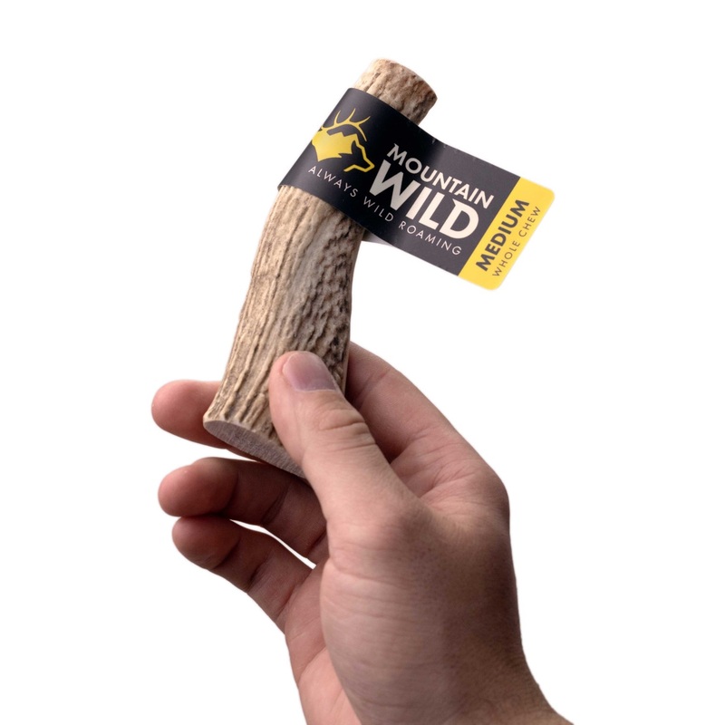Whole Antler Chews – Medium / Large / X-Large