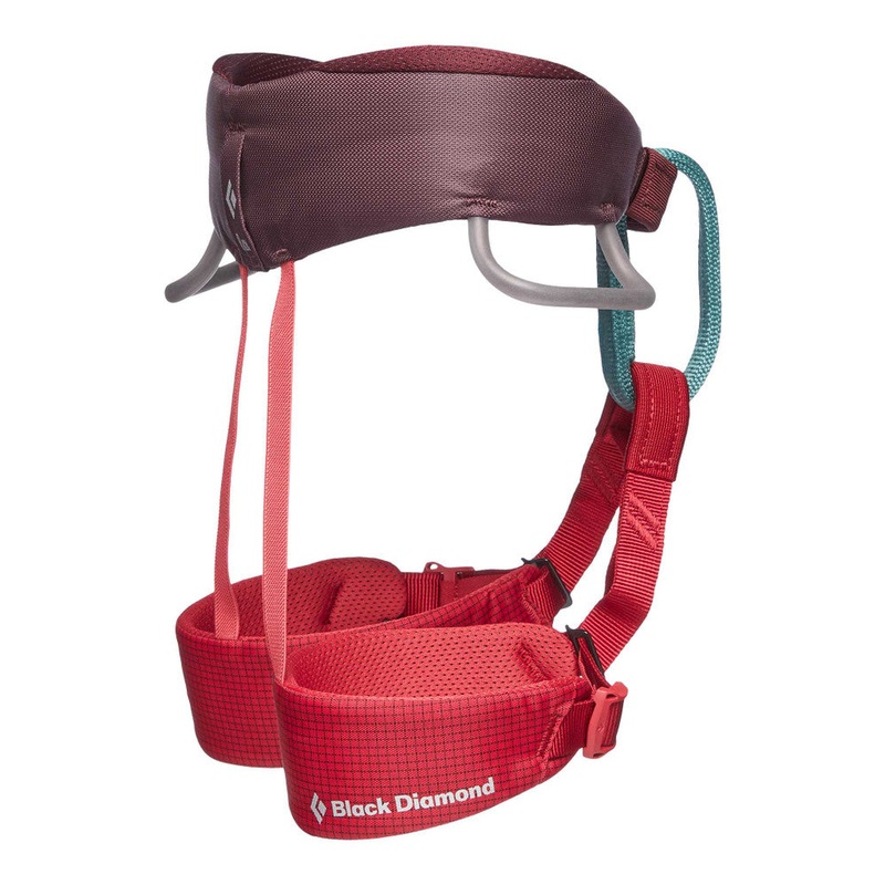 Momentum Harness Kids Wild Rose