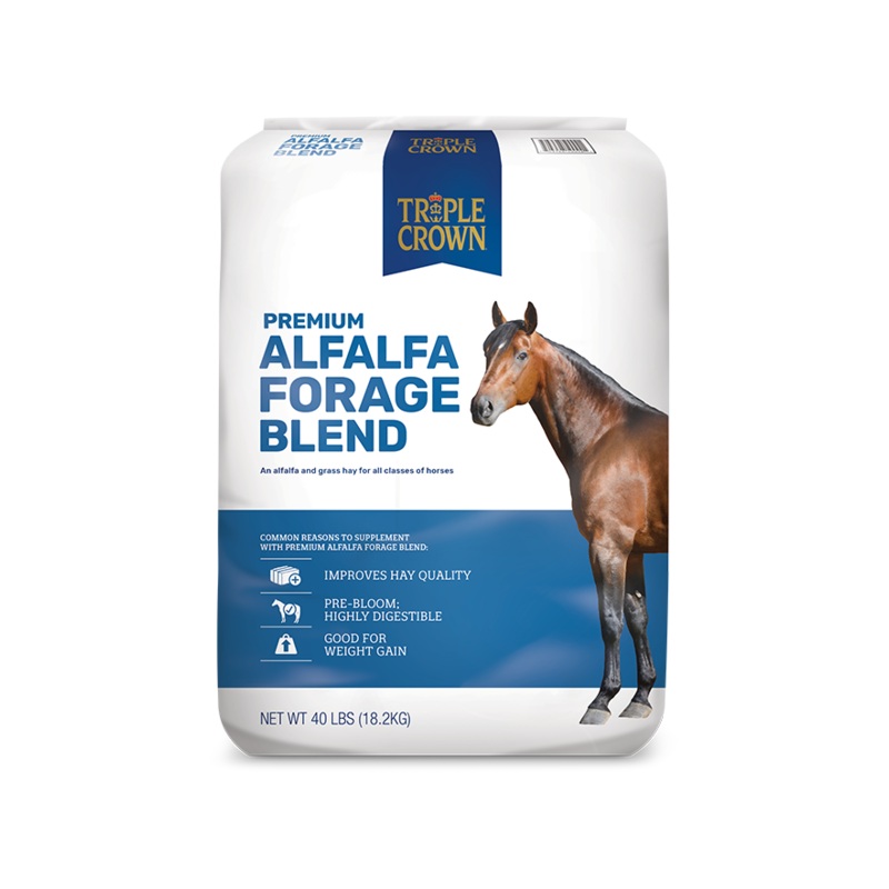 Alfalfa Forage Blend|40LB