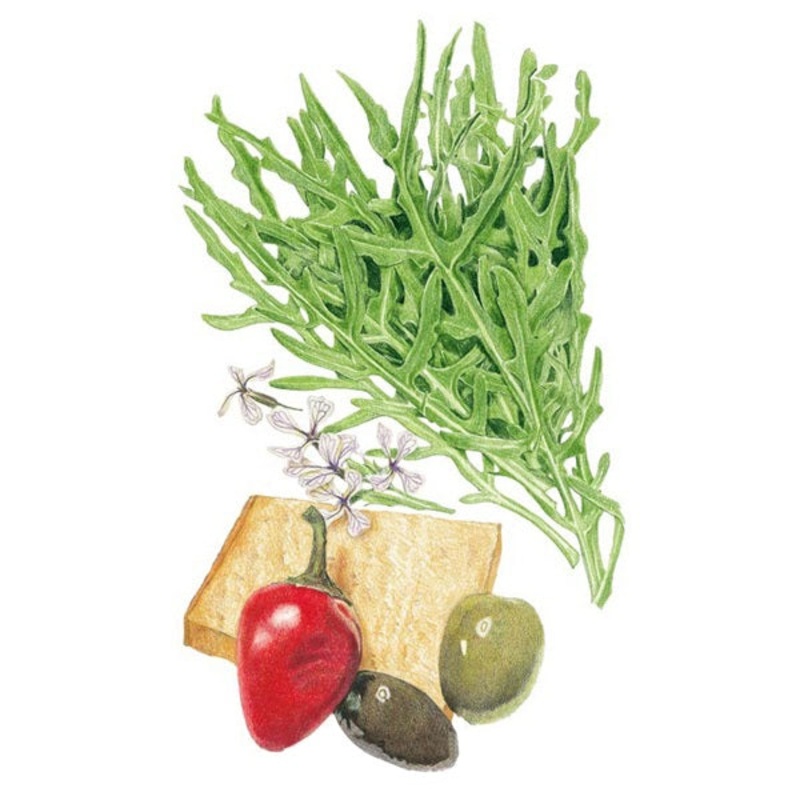 Arugula Wild Rocket Seed