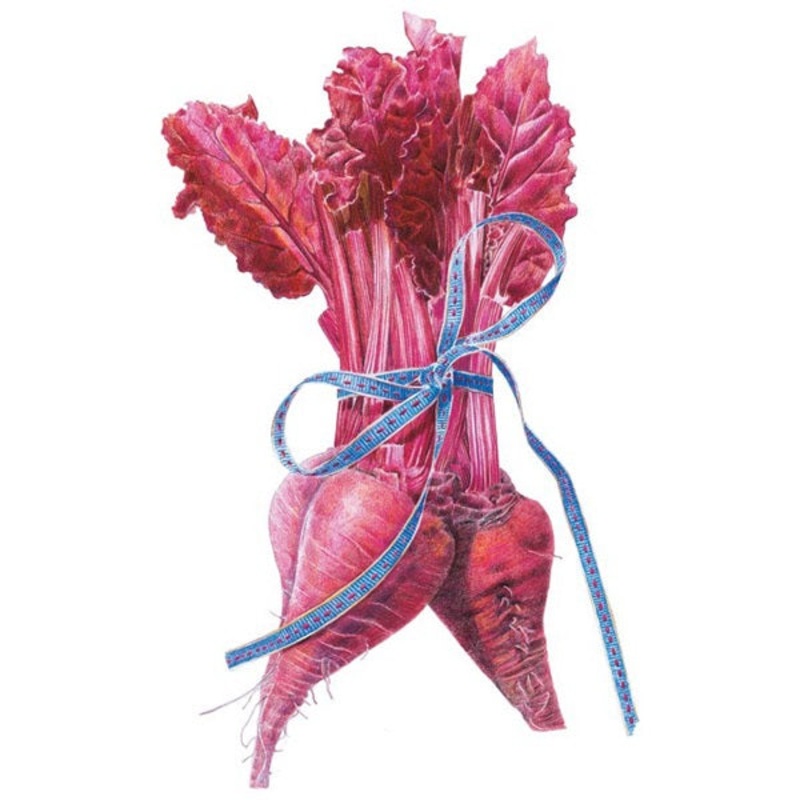 Bull’s Blood Beet Seed