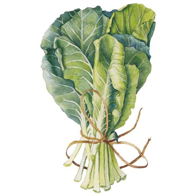 Georgia Southern Collards Seed