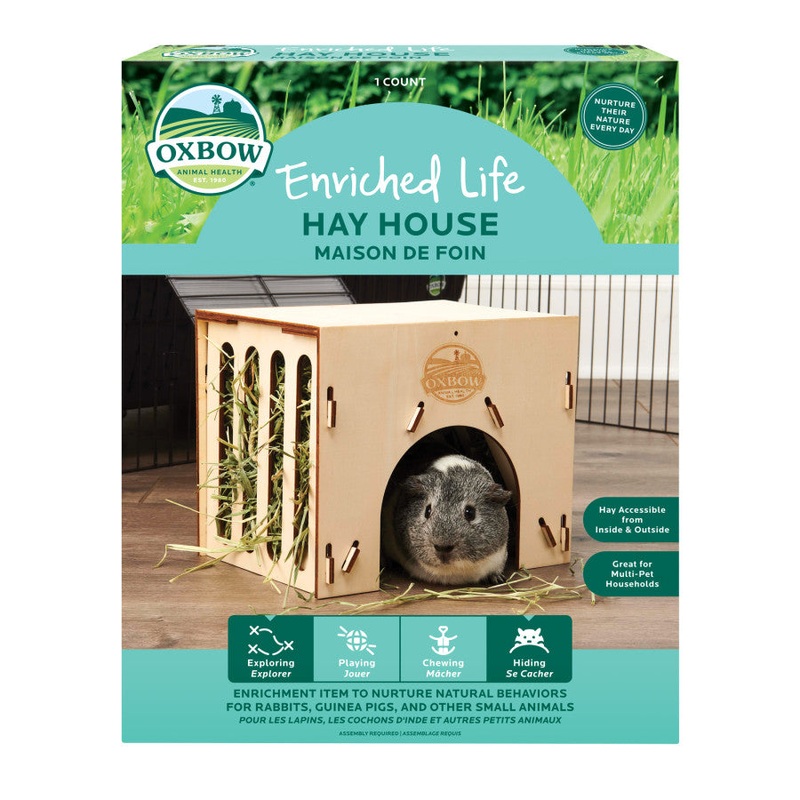 Enriched Life Play Hay House